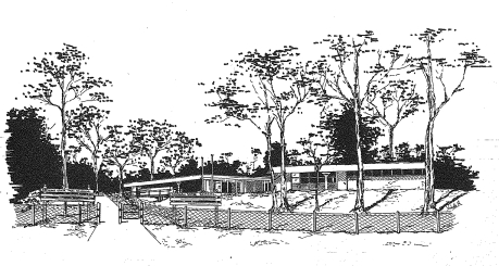 A drawing of school